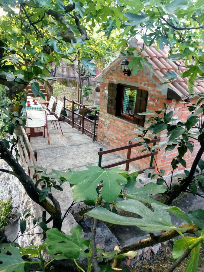 Apartment Lidija تْشيرسيك نوفي المظهر الخارجي الصورة
